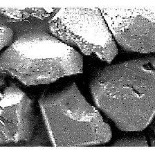 BUSCH Hybrid Twister Fig. HT5854R (Super Coarse Grit) - Wing Wo Hong Industrial Products Ltd.